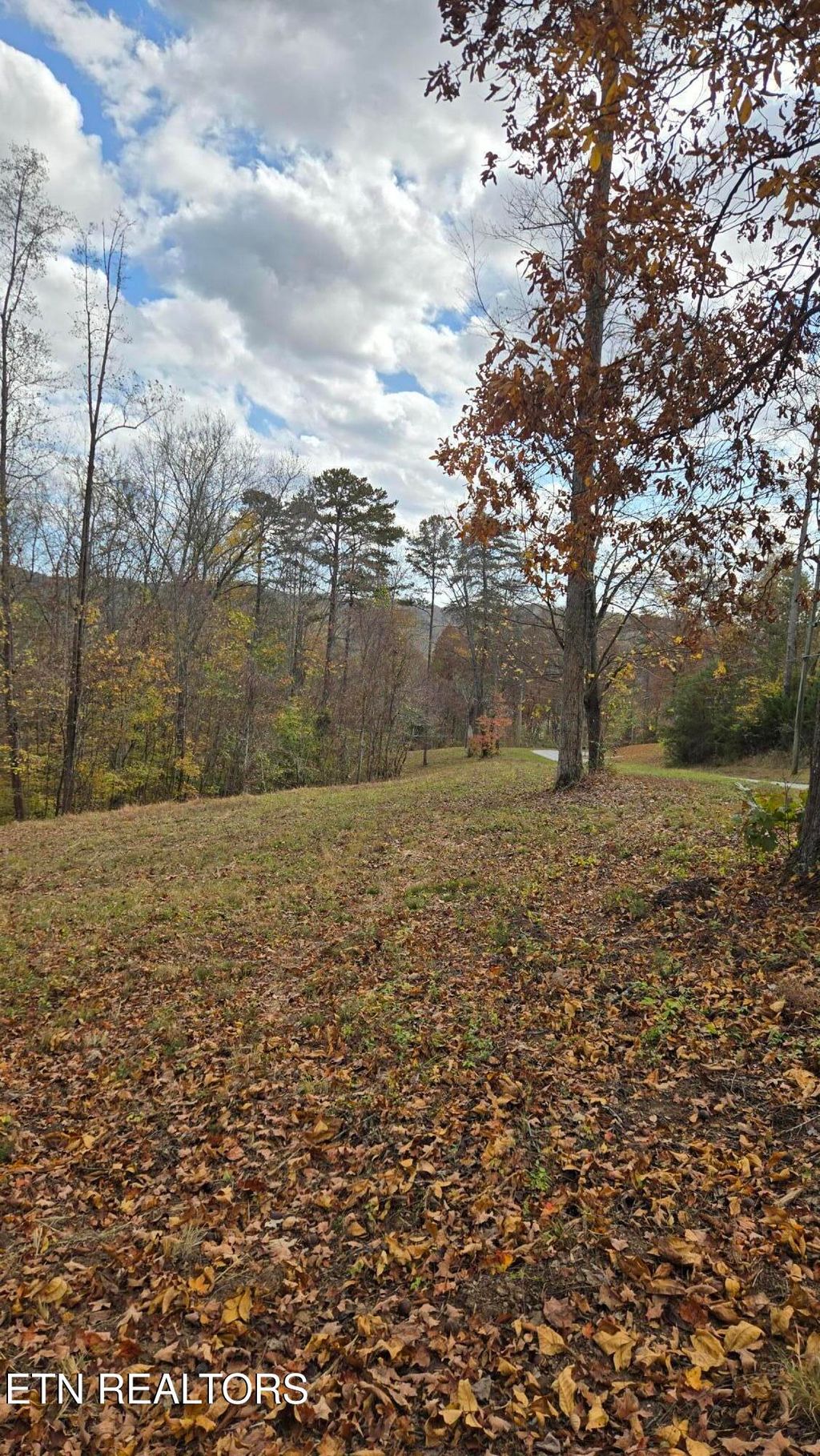 Photo of 0 Hickory Pointe Lane, Maynardville, TN 37807 (MLS # 1278963)
