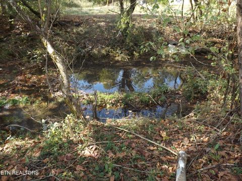 Tiny photo for 829 Bristol Rd, Harrogate, TN 37752 (MLS # 1318743)