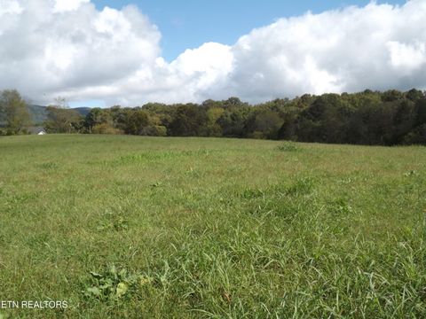 Tiny photo for 829 Bristol Rd, Harrogate, TN 37752 (MLS # 1318743)