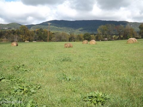 Tiny photo for 829 Bristol Rd, Harrogate, TN 37752 (MLS # 1318743)