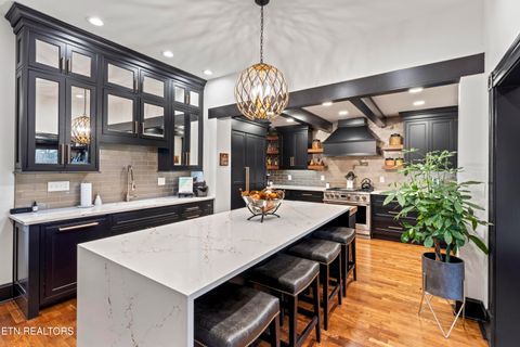 Tiny photo for 719 Luttrell St, Knoxville, TN 37917 (MLS # 1319328)