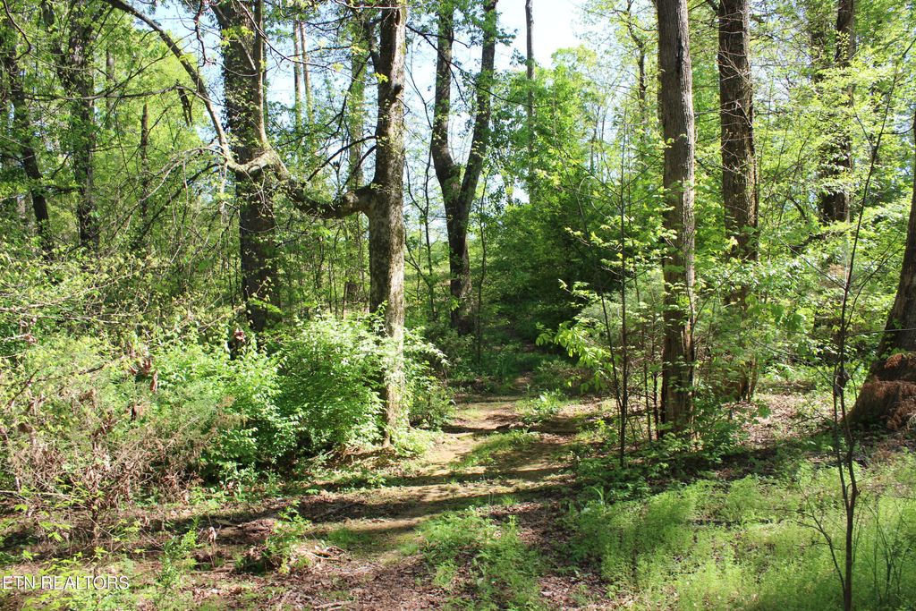 Photo of 3 Sugar Maple Court, Madisonville, TN 37354 (MLS # 1317427)