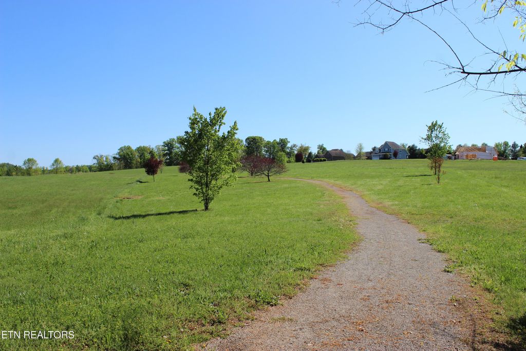 Photo of 3 Sugar Maple Court, Madisonville, TN 37354 (MLS # 1317427)