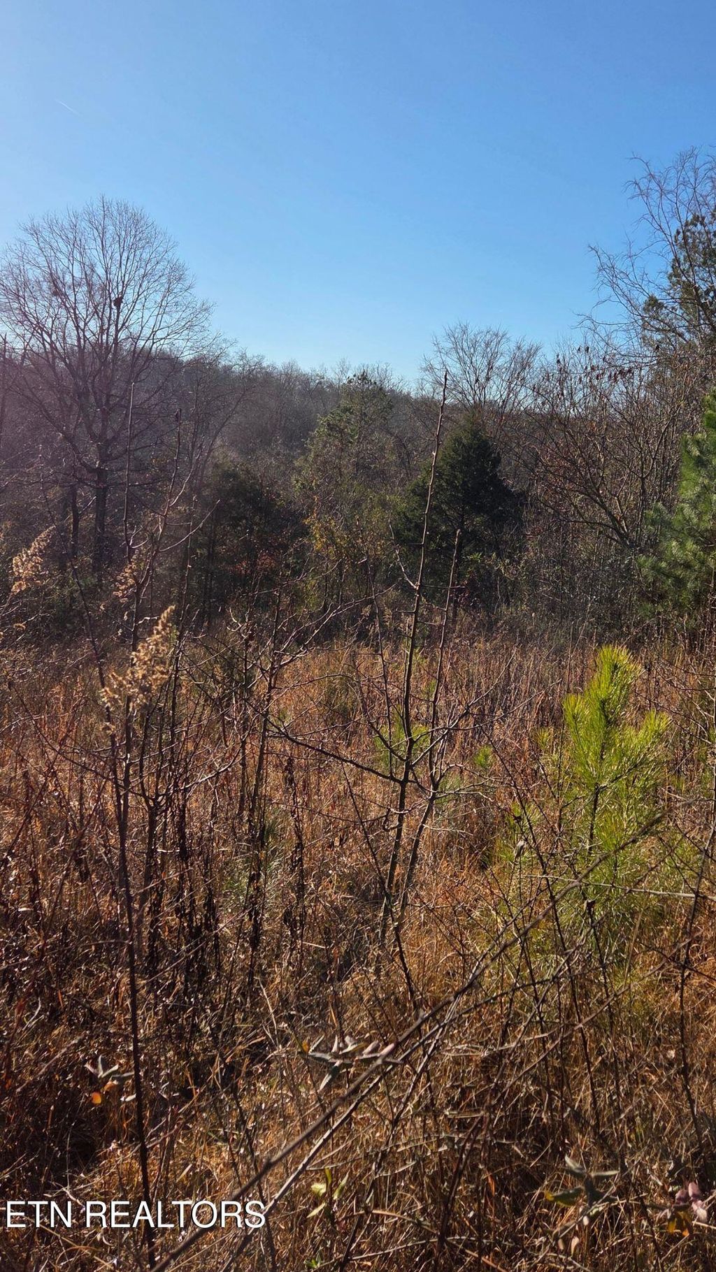 Photo of 3 Sugar Maple Court, Madisonville, TN 37354 (MLS # 1317427)