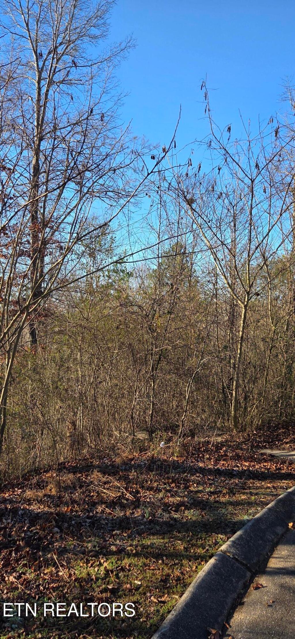 Photo of 3 Sugar Maple Court, Madisonville, TN 37354 (MLS # 1317427)