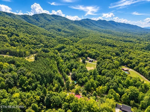 Tiny photo for 925 Tweed Springs Rd, Greeneville, TN 37743 (MLS # 1357595)