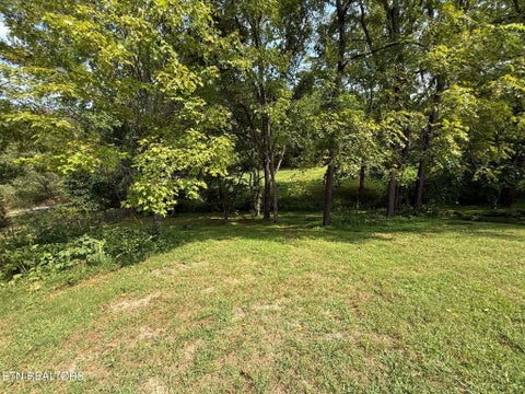Tiny photo for 925 Tweed Springs Rd, Greeneville, TN 37743 (MLS # 1357595)