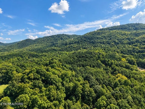 Tiny photo for 925 Tweed Springs Rd, Greeneville, TN 37743 (MLS # 1357595)