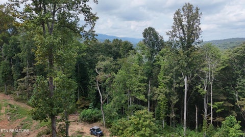 Tiny photo for Easterly Circle, Rocky Top, TN 37769 (MLS # 1354830)