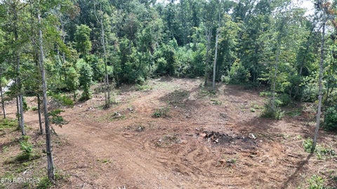 Tiny photo for Easterly Circle, Rocky Top, TN 37769 (MLS # 1354830)