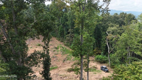 Tiny photo for Easterly Circle, Rocky Top, TN 37769 (MLS # 1354830)