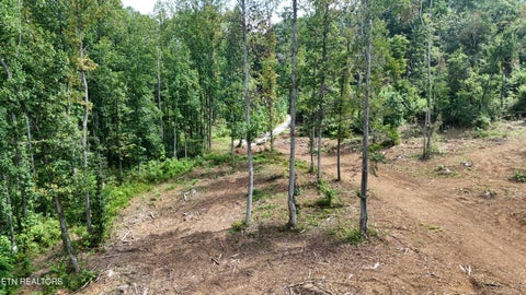 Tiny photo for Easterly Circle, Rocky Top, TN 37769 (MLS # 1354830)