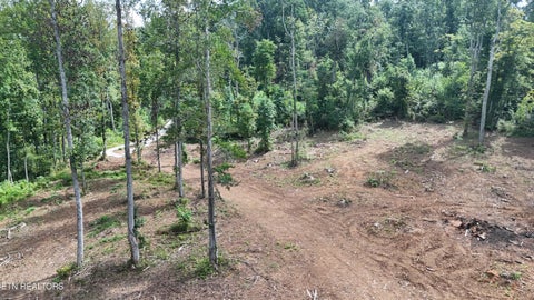 Tiny photo for Easterly Circle, Rocky Top, TN 37769 (MLS # 1354830)