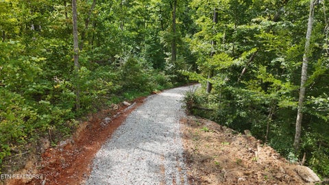 Tiny photo for Easterly Circle, Rocky Top, TN 37769 (MLS # 1354830)