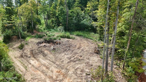 Tiny photo for Easterly Circle, Rocky Top, TN 37769 (MLS # 1354830)