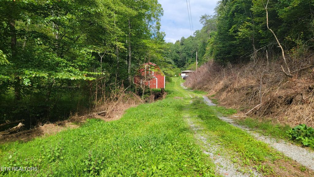 Photo of 341 Bucklick Lane, Tazewell, TN 37879 (MLS # 1239914)