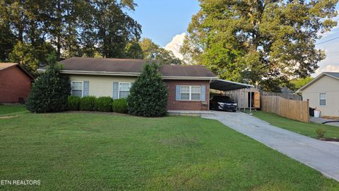 Photo of 229 Doe Run Blvd, Clinton, TN 37716 (MLS # 1312386)