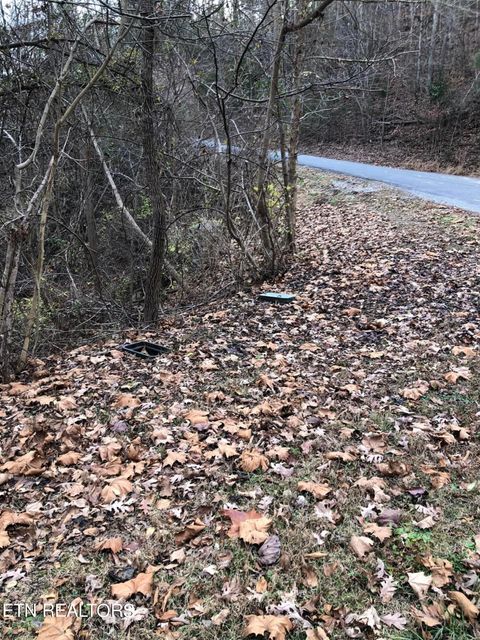 Tiny photo for 18 Stone Bridge Drive, Dandridge, TN 37725 (MLS # 1332126)