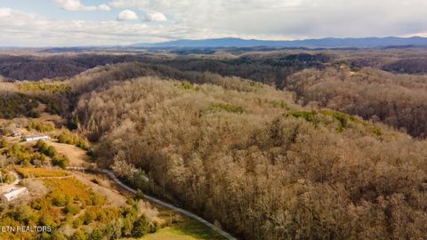 Tiny photo for 1020 Rhodes Rd, Bybee, TN 37713 (MLS # 1331237)