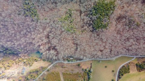 Tiny photo for 1020 Rhodes Rd, Bybee, TN 37713 (MLS # 1331237)