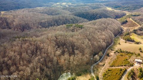 Tiny photo for 1020 Rhodes Rd, Bybee, TN 37713 (MLS # 1331237)