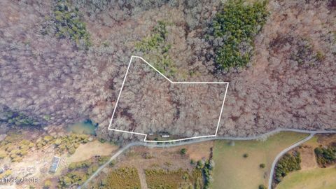 Tiny photo for 1020 Rhodes Rd, Bybee, TN 37713 (MLS # 1331237)