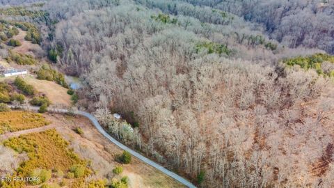 Tiny photo for 1020 Rhodes Rd, Bybee, TN 37713 (MLS # 1331237)