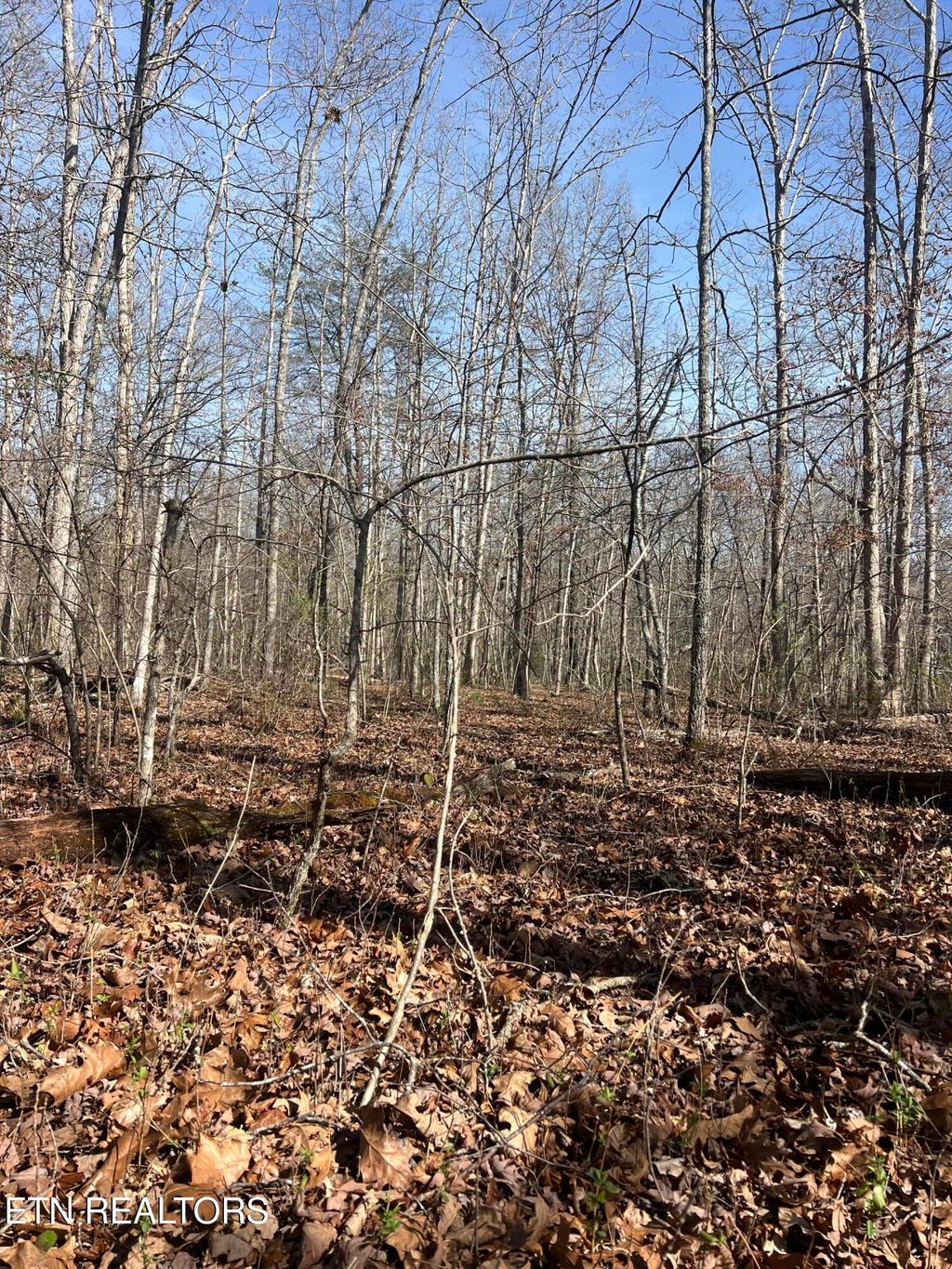 Photo of 8921 Cherokee Tr, Crossville, TN 38572 (MLS # 1332579)