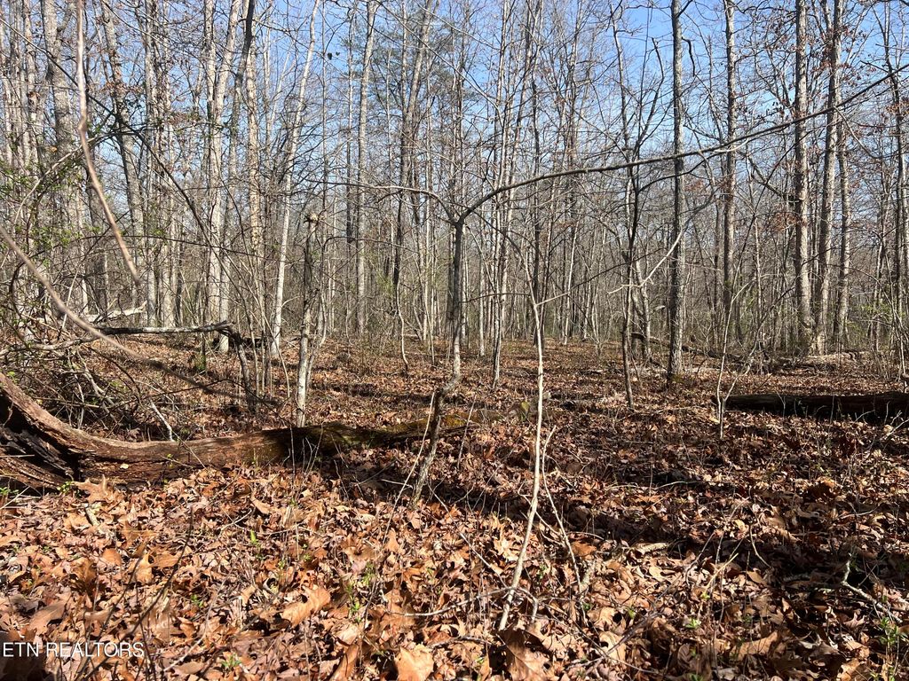 Photo of 8921 Cherokee Tr, Crossville, TN 38572 (MLS # 1332579)