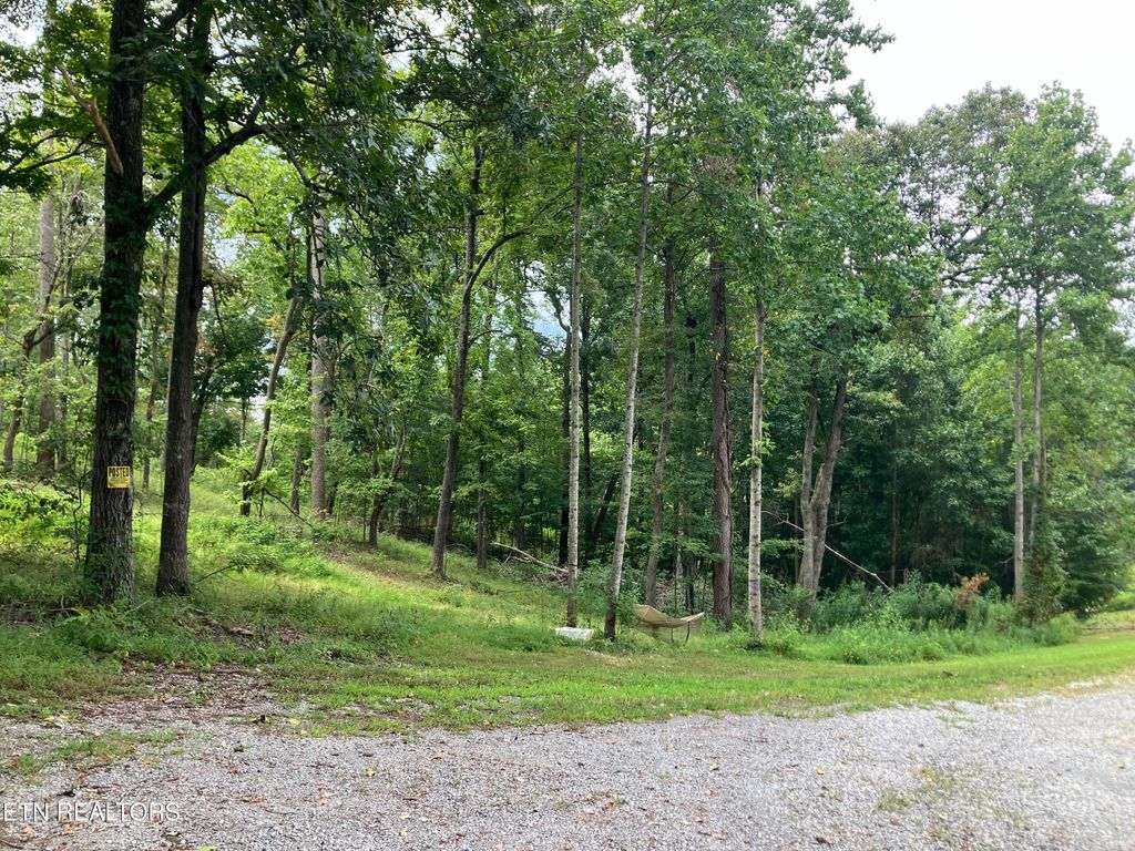 Photo of 8 Grandview Lane, New Tazewell, TN 37825 (MLS # 1313116)