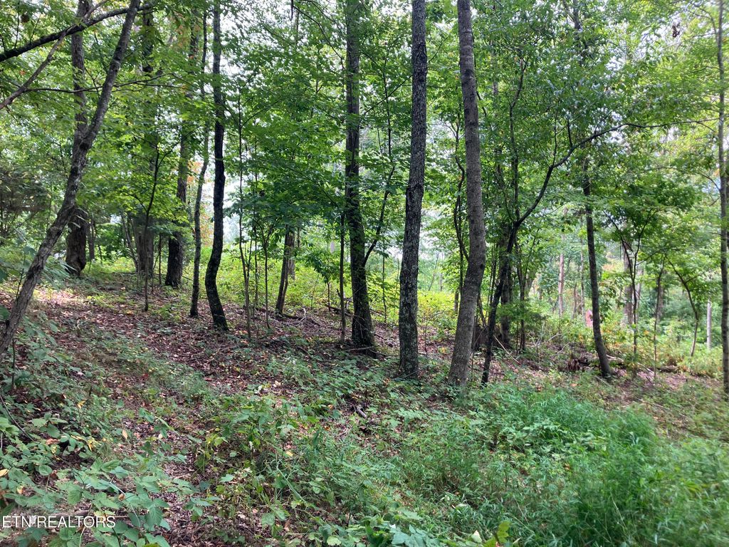 Photo of 8 Grandview Lane, New Tazewell, TN 37825 (MLS # 1313116)