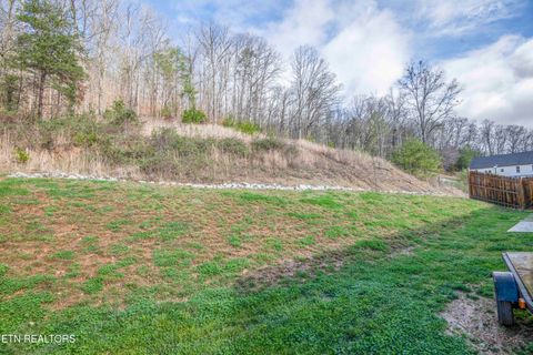 Tiny photo for 100 Claude Steadman Place, Clinton, TN 37716 (MLS # 1333492)