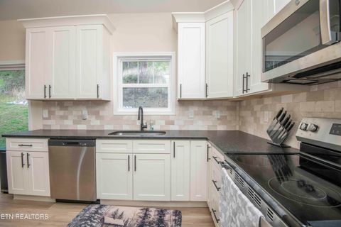 Tiny photo for 100 Claude Steadman Place, Clinton, TN 37716 (MLS # 1333492)