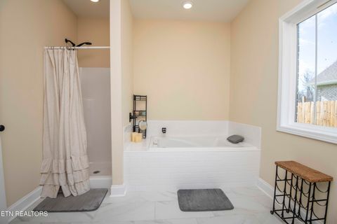 Tiny photo for 100 Claude Steadman Place, Clinton, TN 37716 (MLS # 1333492)