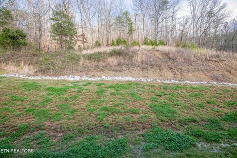 Tiny photo for 100 Claude Steadman Place, Clinton, TN 37716 (MLS # 1333492)