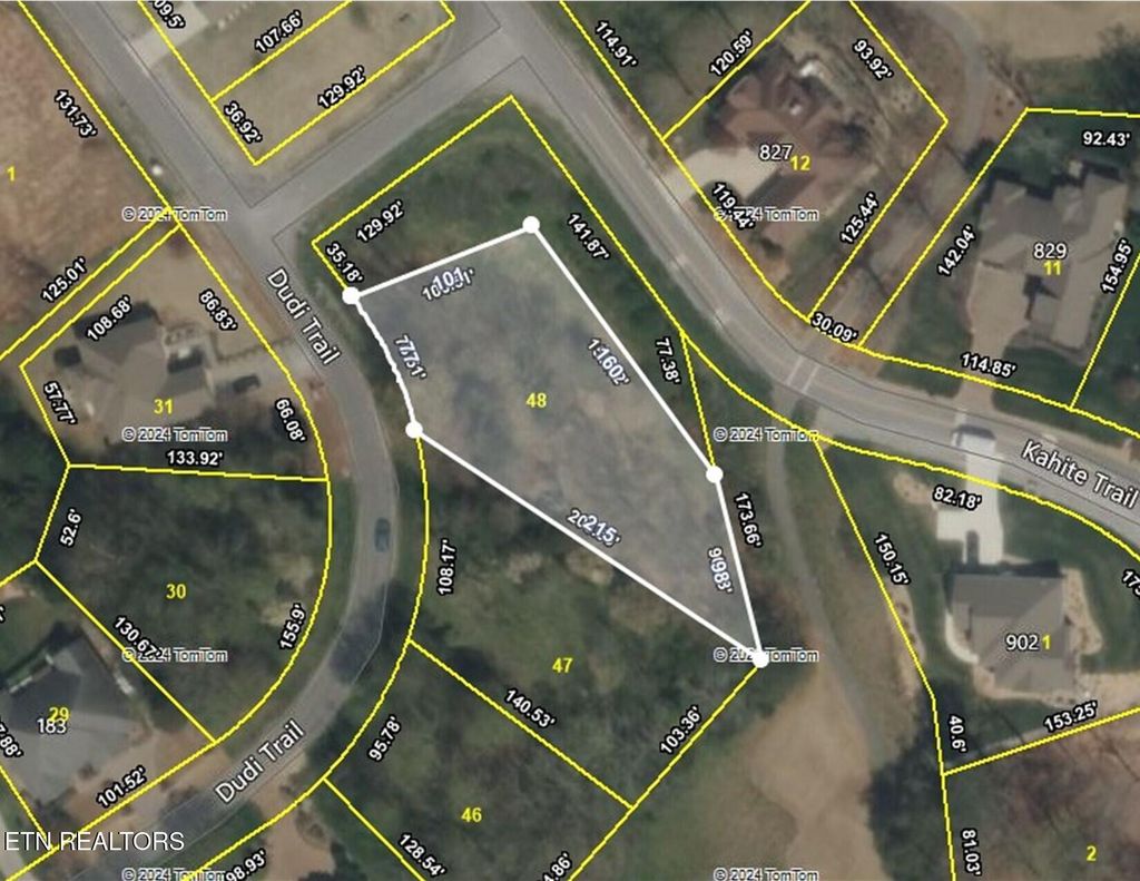 Photo of 188 Dudi Tr, Vonore, TN 37885 (MLS # 1282024)