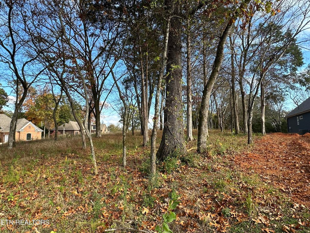 Photo of 188 Dudi Tr, Vonore, TN 37885 (MLS # 1282024)