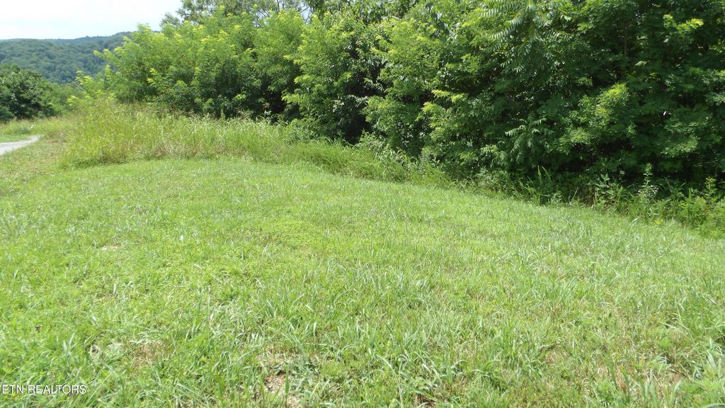 Photo of 17 Crappie Lane, Hilham, TN 38568 (MLS # 1328555)