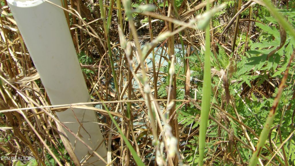 Photo of 17 Crappie Lane, Hilham, TN 38568 (MLS # 1328555)