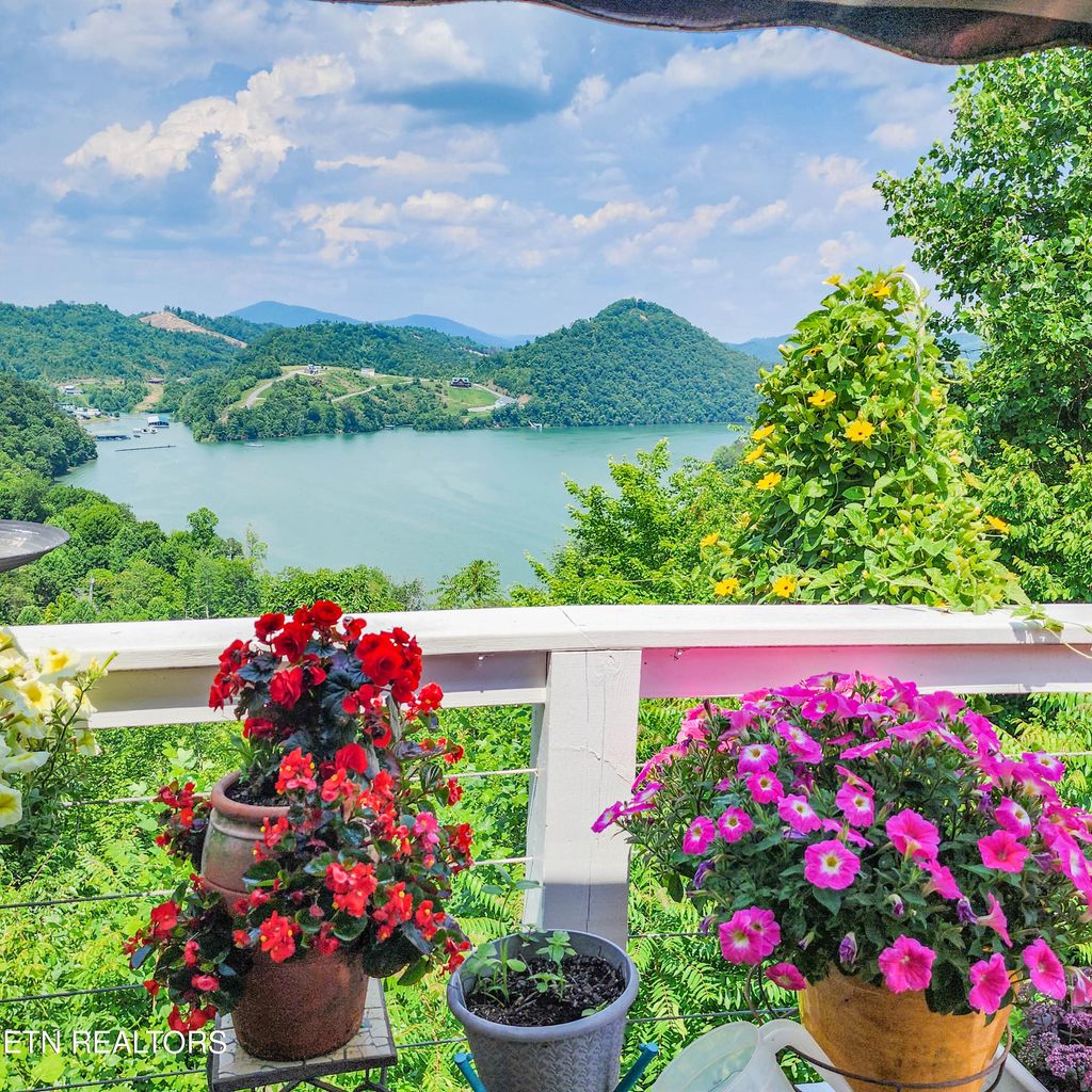 Photo of 188 Ridgecrest Rd, New Tazewell, TN 37825 (MLS # 1266397)