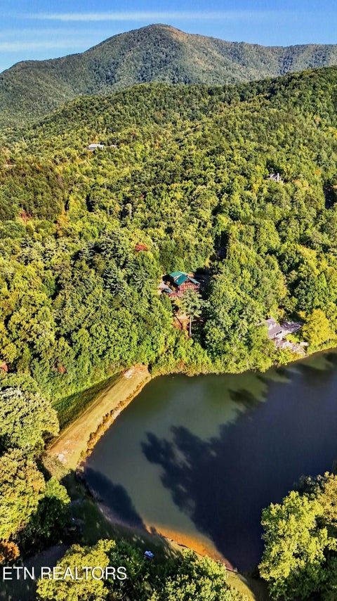 Tiny photo for 3702 Marian Lake Way, Sevierville, TN 37862 (MLS # 1357657)