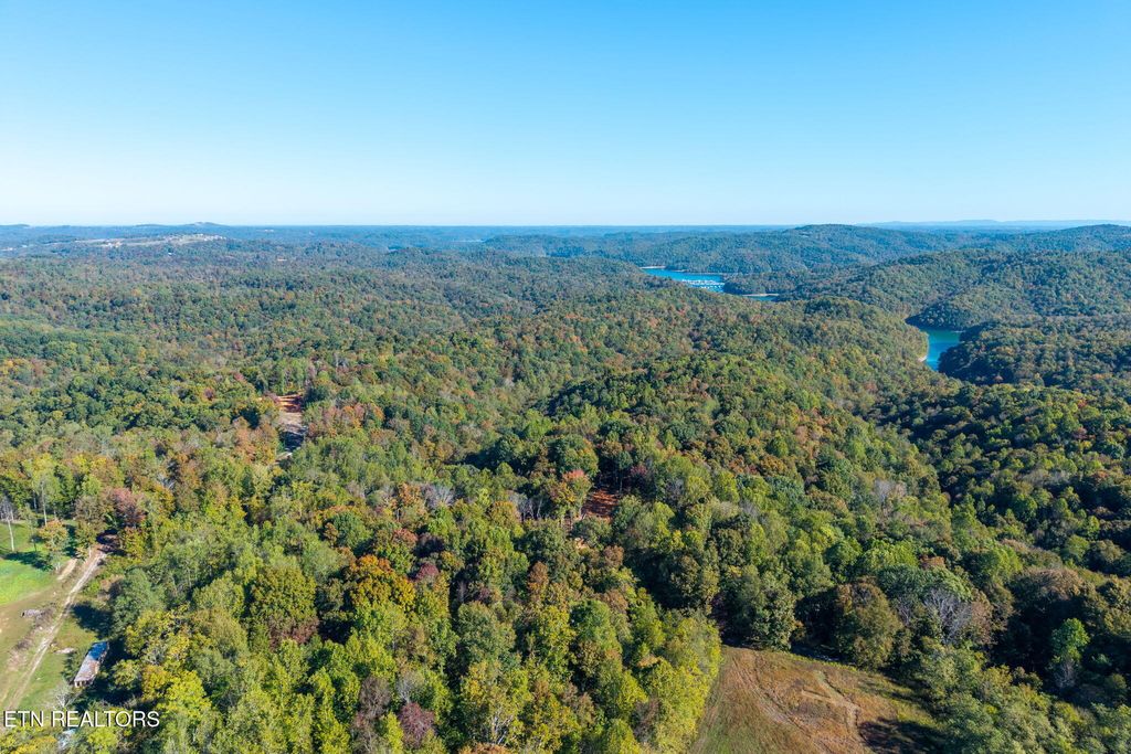 Photo of 408 Massingille Lane, Allons, TN 38541 (MLS # 1319331)