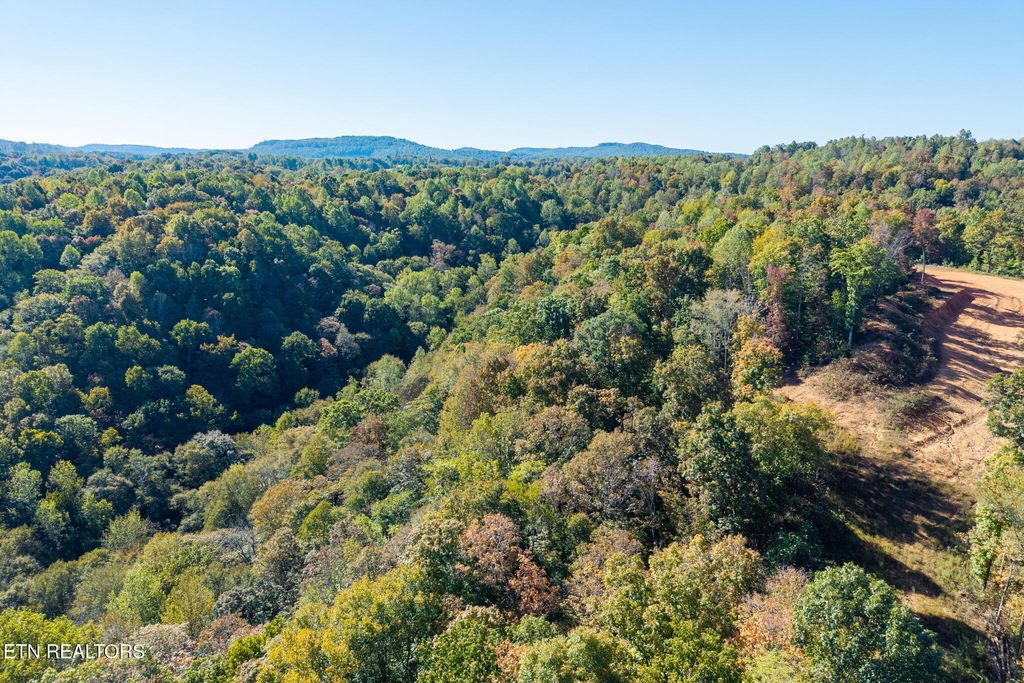 Photo of 408 Massingille Lane, Allons, TN 38541 (MLS # 1319331)