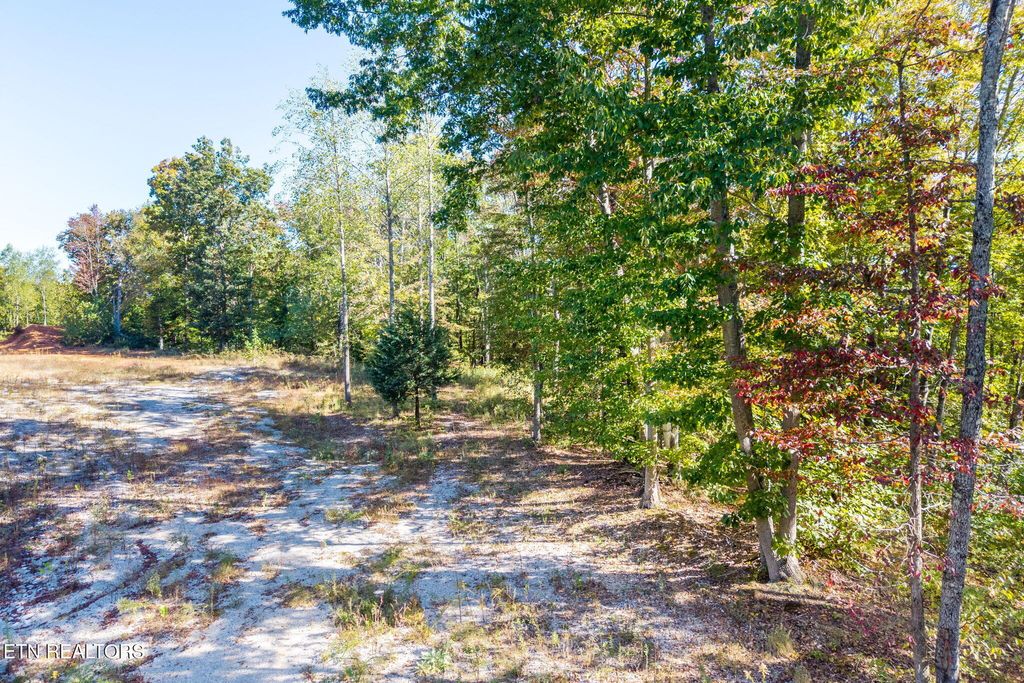 Photo of 408 Massingille Lane, Allons, TN 38541 (MLS # 1319331)
