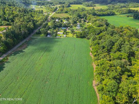 Tiny photo for 61 Cosby Hwy, Cosby, TN 37722 (MLS # 1317447)
