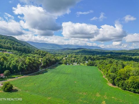 Tiny photo for 61 Cosby Hwy, Cosby, TN 37722 (MLS # 1317447)