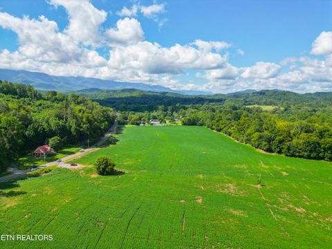 Tiny photo for 61 Cosby Hwy, Cosby, TN 37722 (MLS # 1317447)