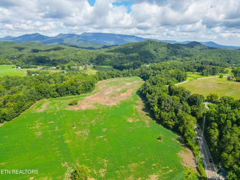 Tiny photo for 61 Cosby Hwy, Cosby, TN 37722 (MLS # 1317447)