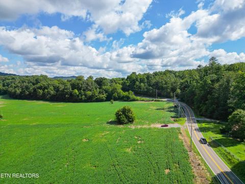Tiny photo for 61 Cosby Hwy, Cosby, TN 37722 (MLS # 1317447)