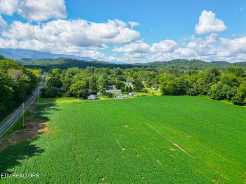Tiny photo for 61 Cosby Hwy, Cosby, TN 37722 (MLS # 1317447)